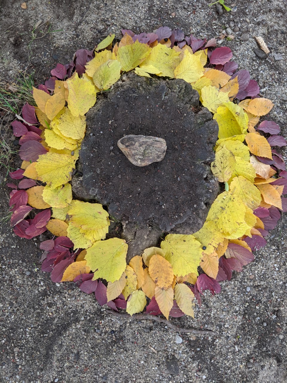 Landart nach Andy Goldsworthy